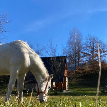 Eco Kutak Villa Мойковац Екстериор снимка