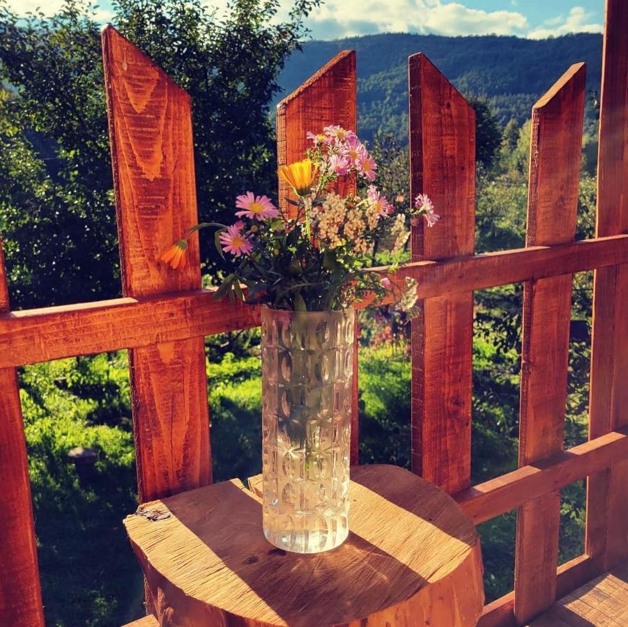 Eco Kutak Villa Мойковац Екстериор снимка