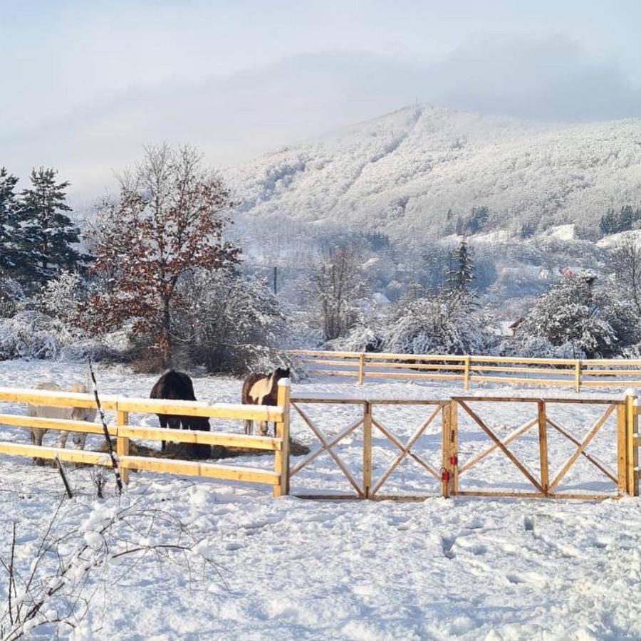 Eco Kutak Villa Мойковац Екстериор снимка